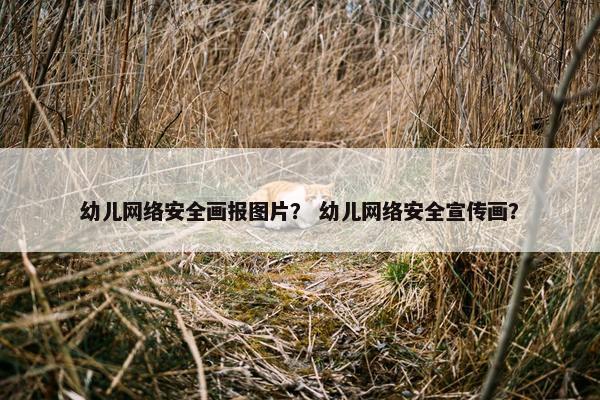 幼儿网络安全画报图片？ 幼儿网络安全宣传画？