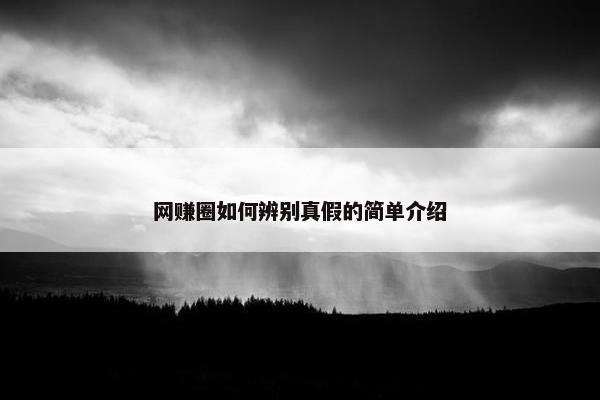 网赚圈如何辨别真假的简单介绍