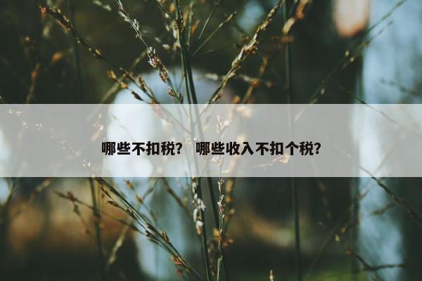 哪些不扣税？ 哪些收入不扣个税？