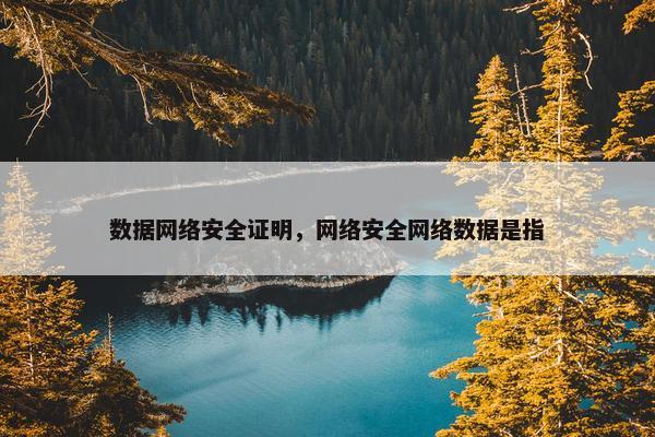 数据网络安全证明，网络安全网络数据是指