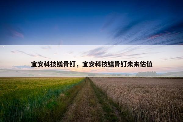 宜安科技镁骨钉，宜安科技镁骨钉未来估值
