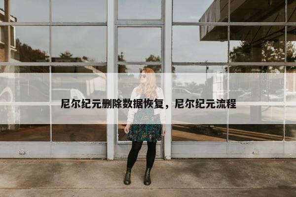 尼尔纪元删除数据恢复，尼尔纪元流程