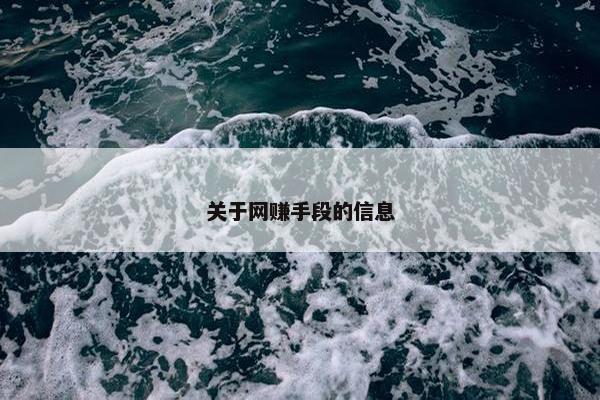 关于网赚手段的信息