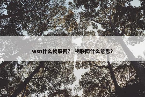 wsn什么物联网？ 物联网什么意思？