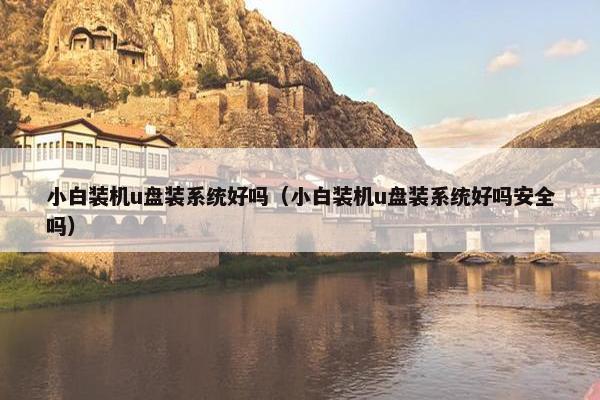 小白装机u盘装系统好吗（小白装机u盘装系统好吗安全吗）