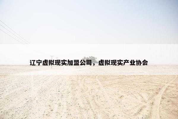 辽宁虚拟现实加盟公司，虚拟现实产业协会