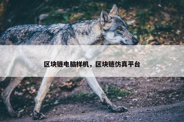 区块链电脑样机，区块链仿真平台