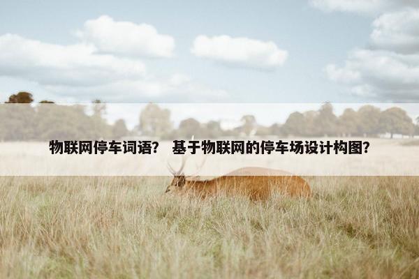 物联网停车词语？ 基于物联网的停车场设计构图？