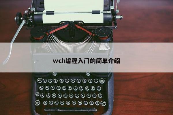 wch编程入门的简单介绍