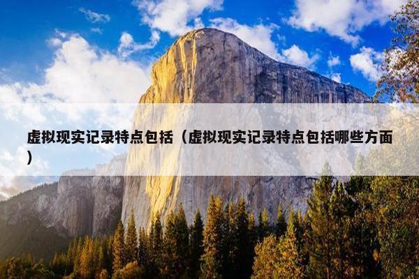 虚拟现实记录特点包括（虚拟现实记录特点包括哪些方面）