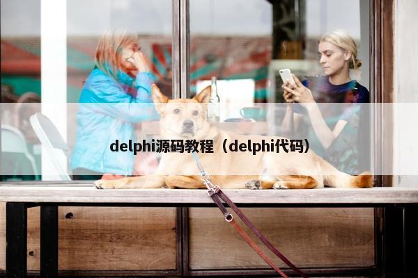 delphi源码教程（delphi代码）