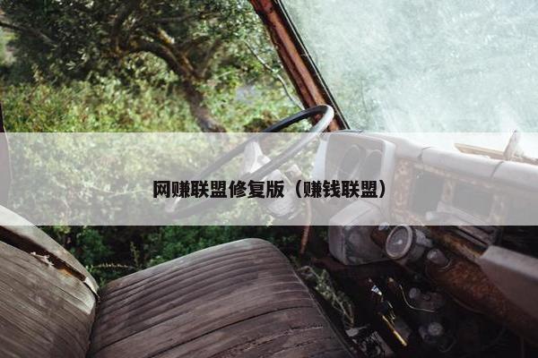 网赚联盟修复版（赚钱联盟）