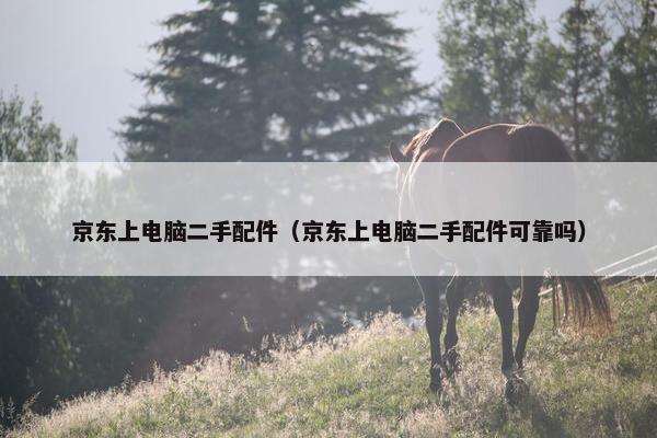 京东上电脑二手配件（京东上电脑二手配件可靠吗）