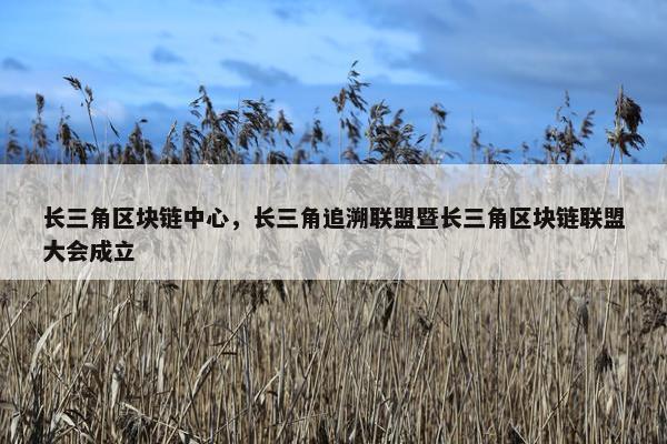 长三角区块链中心，长三角追溯联盟暨长三角区块链联盟大会成立