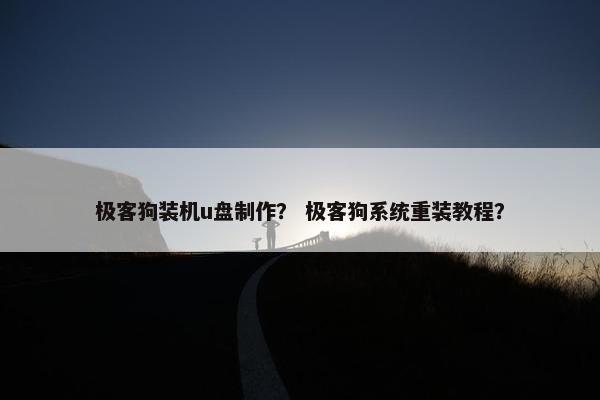 极客狗装机u盘制作？ 极客狗系统重装教程？