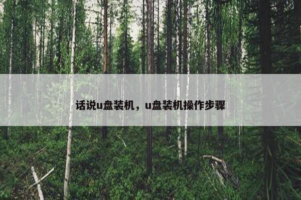 话说u盘装机，u盘装机操作步骤