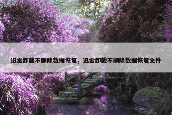 迅雷卸载不删除数据恢复，迅雷卸载不删除数据恢复文件