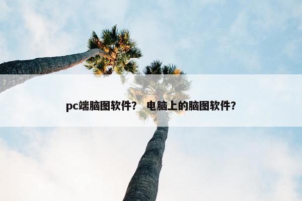 pc端脑图软件？ 电脑上的脑图软件？