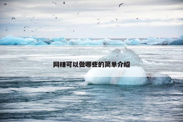 网赚可以做哪些的简单介绍
