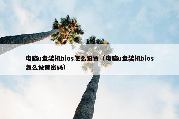 电脑u盘装机bios怎么设置（电脑u盘装机bios怎么设置密码）