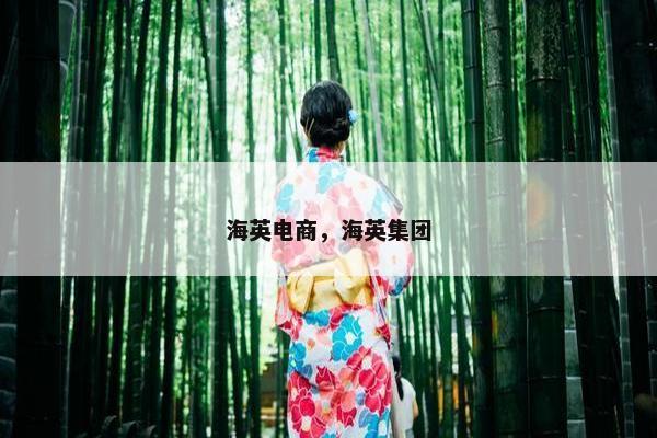 海英电商，海英集团