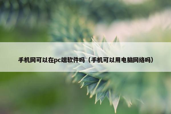 手机网可以在pc端软件吗（手机可以用电脑网络吗）