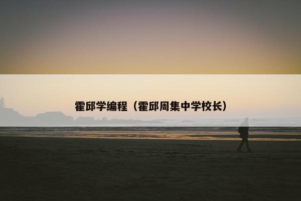 霍邱学编程（霍邱周集中学校长）