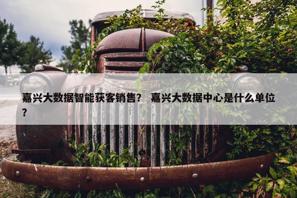 嘉兴大数据智能获客销售？ 嘉兴大数据中心是什么单位？