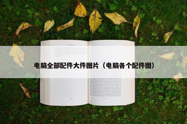 电脑全部配件大件图片（电脑各个配件图）