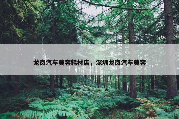 龙岗汽车美容耗材店，深圳龙岗汽车美容