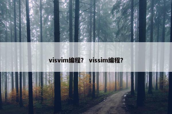 visvim编程？ vissim编程？