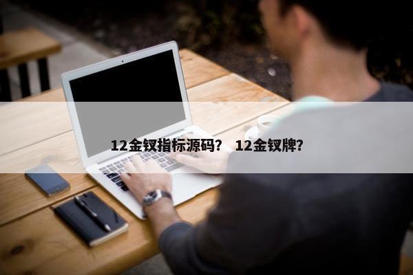 12金钗指标源码？ 12金钗牌？