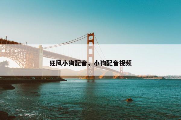 狂风小狗配音，小狗配音视频