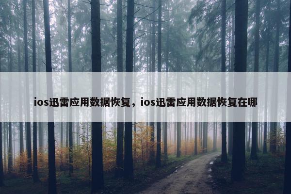 ios迅雷应用数据恢复，ios迅雷应用数据恢复在哪