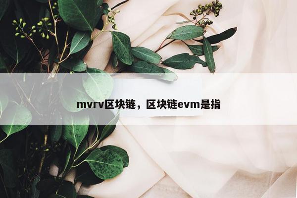 mvrv区块链，区块链evm是指