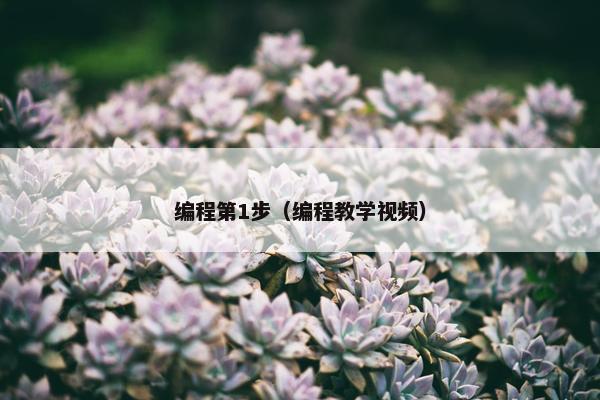 编程第1步（编程教学视频）