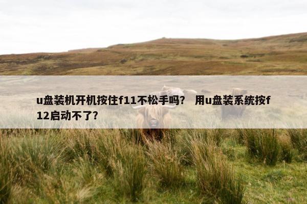 u盘装机开机按住f11不松手吗？ 用u盘装系统按f12启动不了？