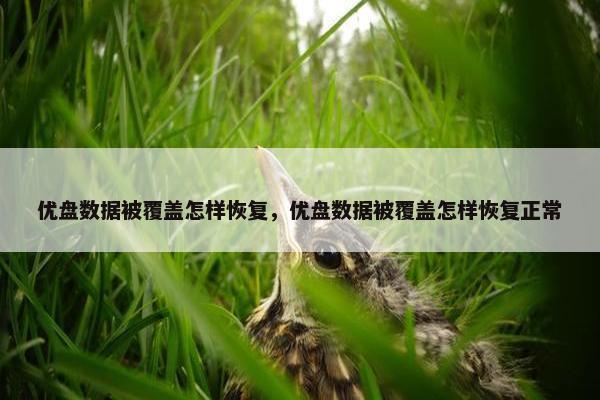 优盘数据被覆盖怎样恢复，优盘数据被覆盖怎样恢复正常