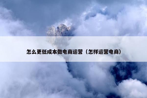怎么更低成本做电商运营（怎样运营电商）