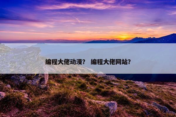 编程大佬动漫？ 编程大佬网站？