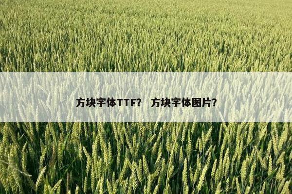 方块字体TTF？ 方块字体图片？