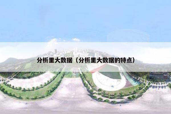 分析里大数据（分析里大数据的特点）