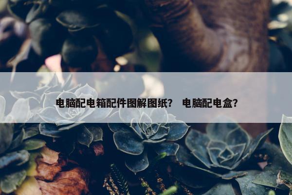 电脑配电箱配件图解图纸？ 电脑配电盒？