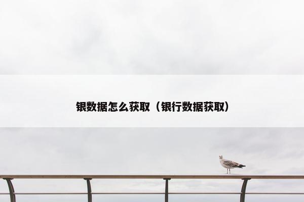 银数据怎么获取（银行数据获取）