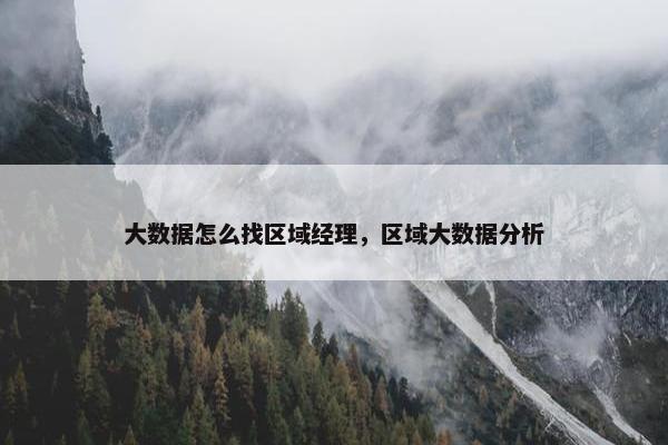 大数据怎么找区域经理，区域大数据分析