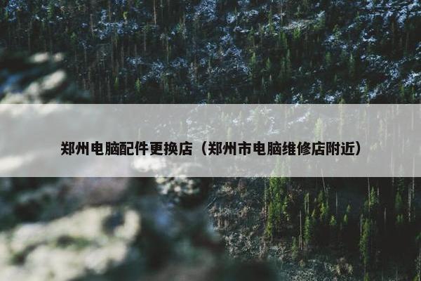 郑州电脑配件更换店（郑州市电脑维修店附近）