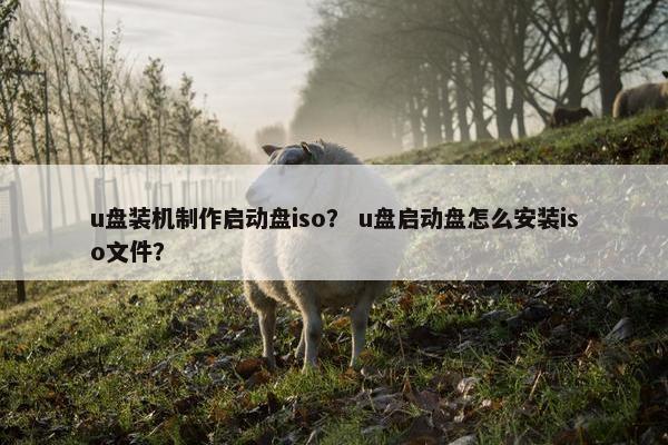 u盘装机制作启动盘iso？ u盘启动盘怎么安装iso文件？