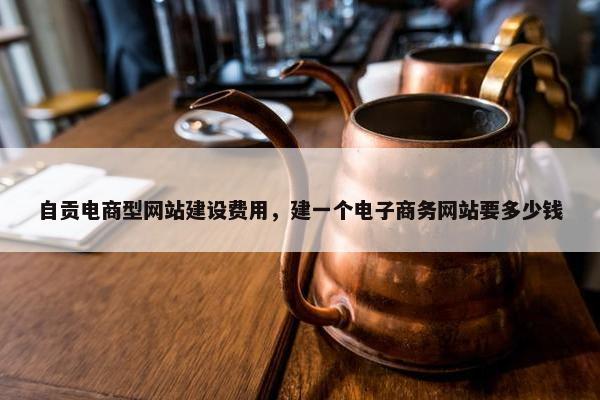 自贡电商型网站建设费用，建一个电子商务网站要多少钱