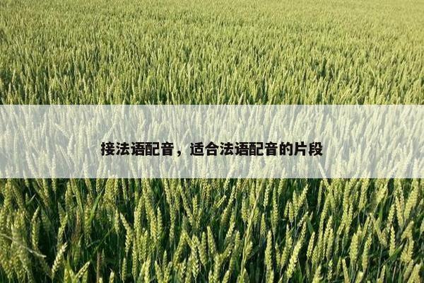 接法语配音，适合法语配音的片段