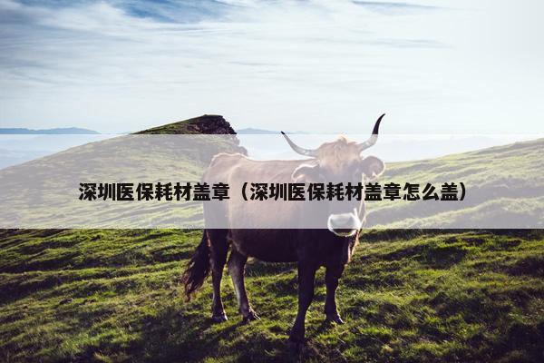 深圳医保耗材盖章（深圳医保耗材盖章怎么盖）